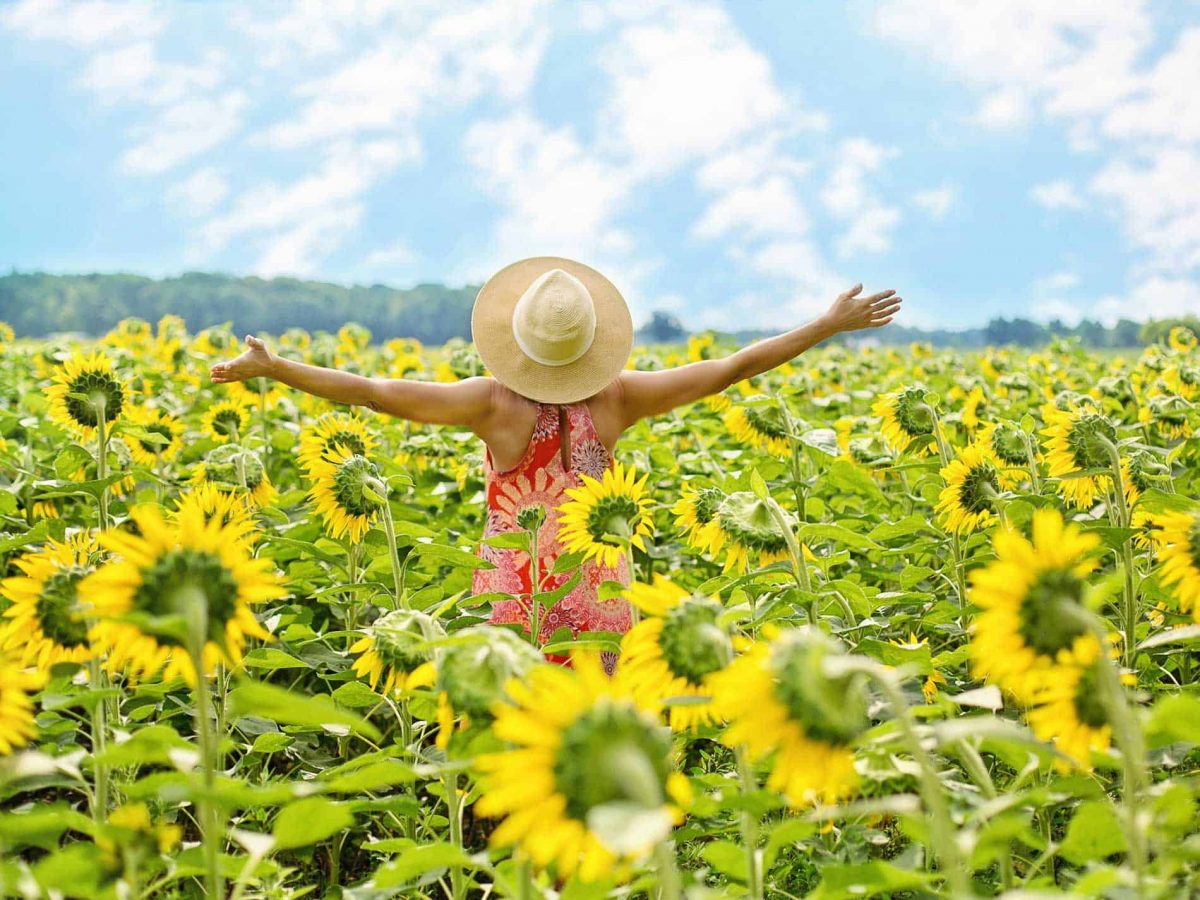 Challenge yourself to improve your wellbeing by expressing your gratitude. Check out these 12 amazing monthly gratitude challenges that are both engaging and fun!