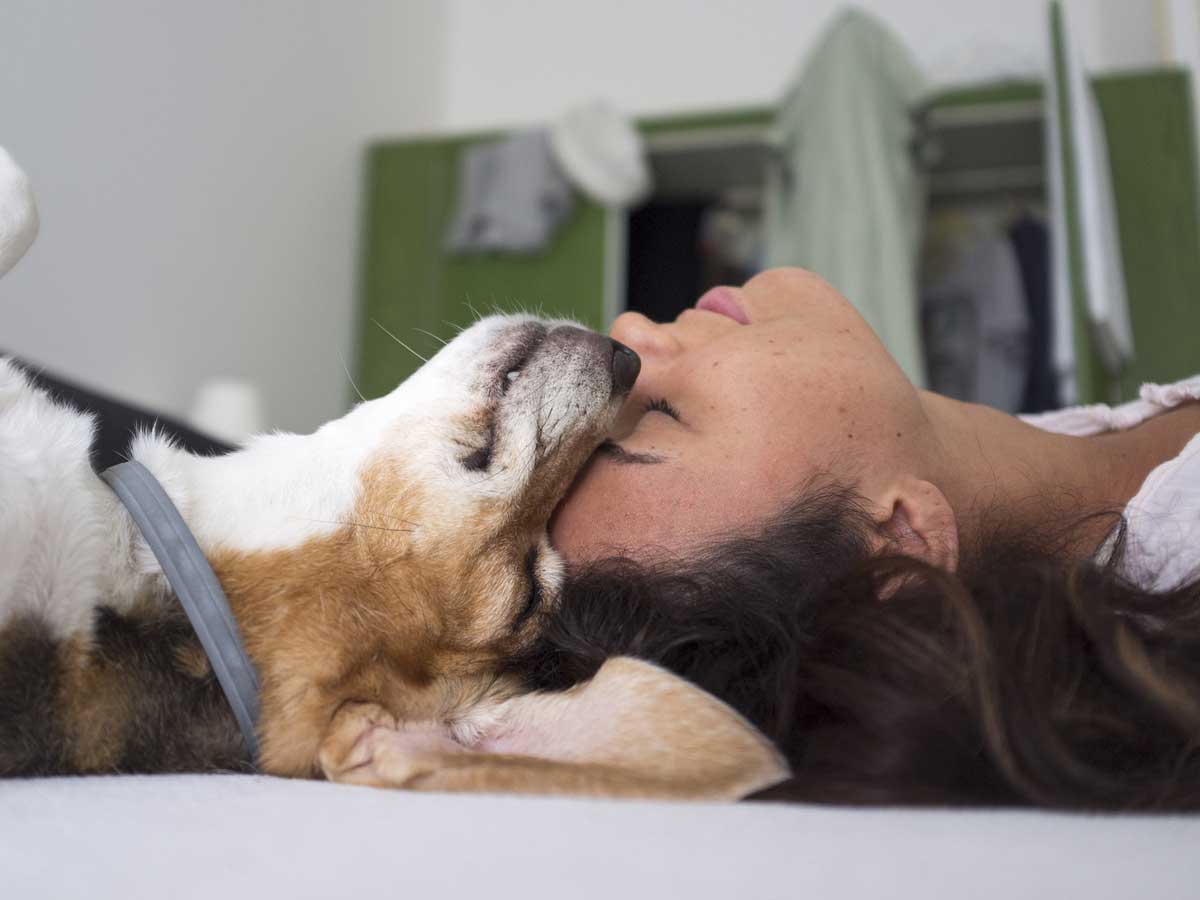 physical and mental health benefits of owning a pet